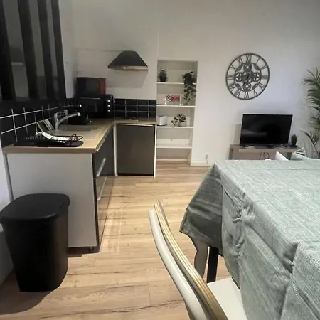 Ferienwohnung Arquebuse Proche Gare Dijon Exterior foto