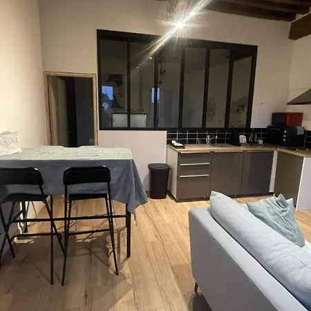 Ferienwohnung Arquebuse Proche Gare Dijon Exterior foto